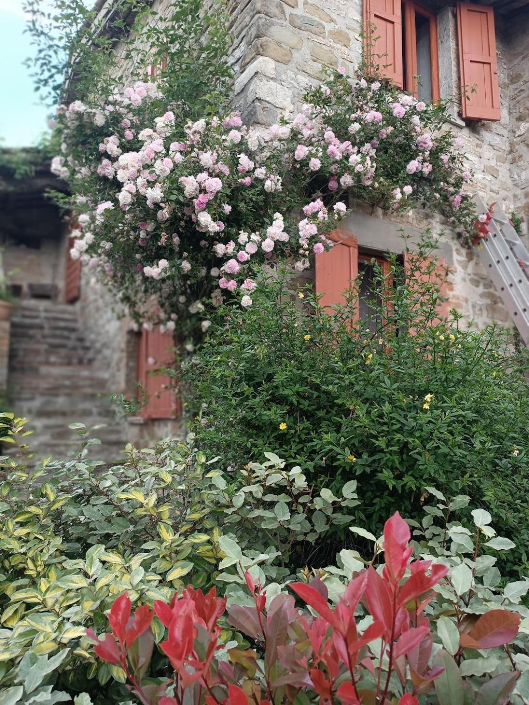 Pilgrim Rooms Gubbio Buitenkant foto