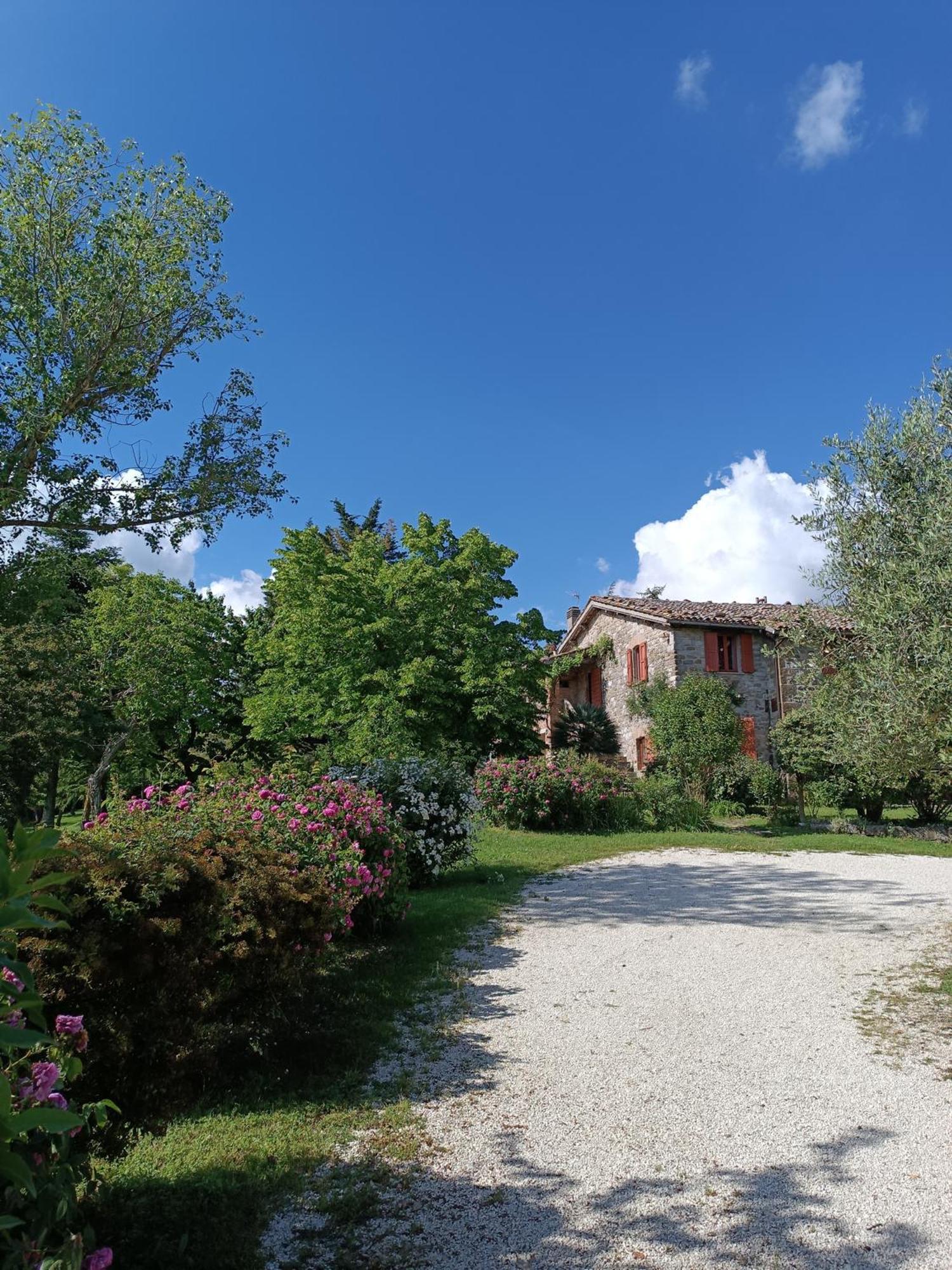 Pilgrim Rooms Gubbio Buitenkant foto